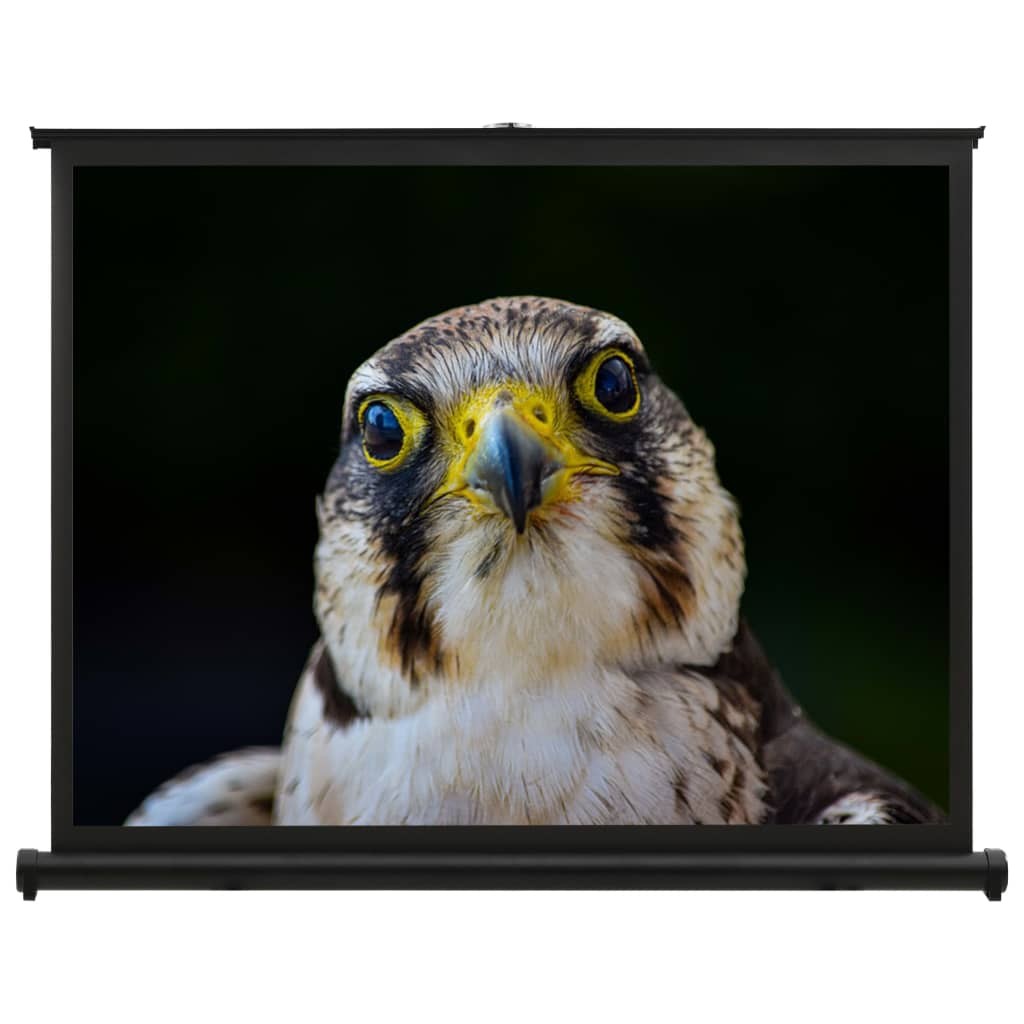 Desktop Projection Screen 40" 4:3
